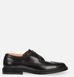 975 - Long Wing Cordovan