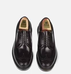 975 - Long Wing Cordovan