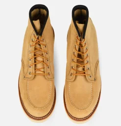 3173 - Moc Toe Tan
