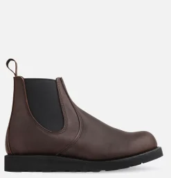 3191 - Rover Chelsea Ebony Harness