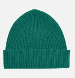 Bonnet Barra Chive