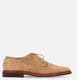 29332F - Plain Toe Blucher Suede Tan