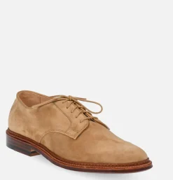 29332F - Plain Toe Blucher Suede Tan