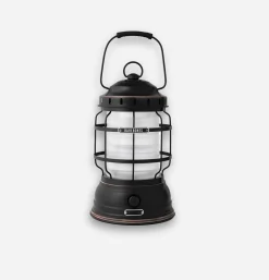 Forest Lantern Bronze