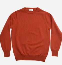 Pull Col Rond Tiger