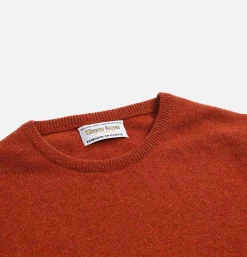 Pull Col Rond Tiger